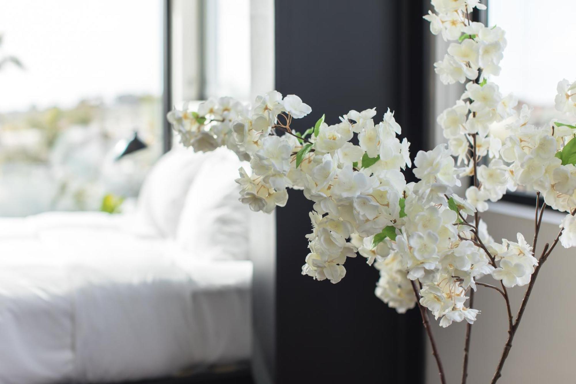 Abpopa Hillcrest Hotel San Diego Ngoại thất bức ảnh